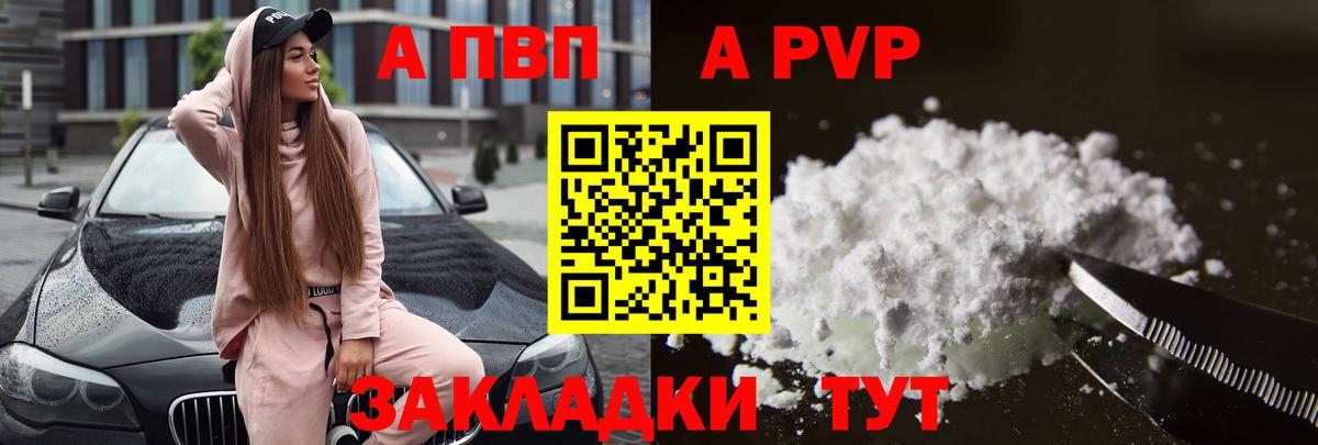 A PVP СК КРИС Луга