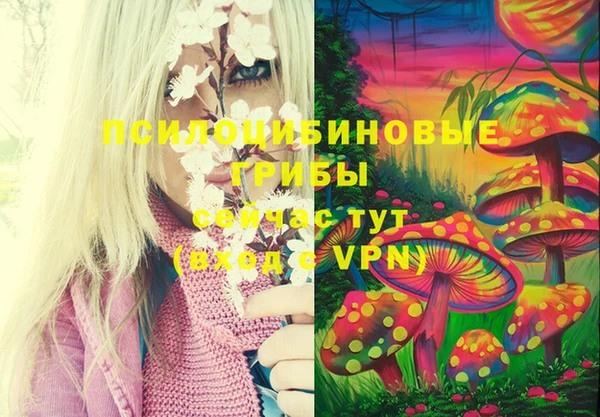 мдма Михайлов