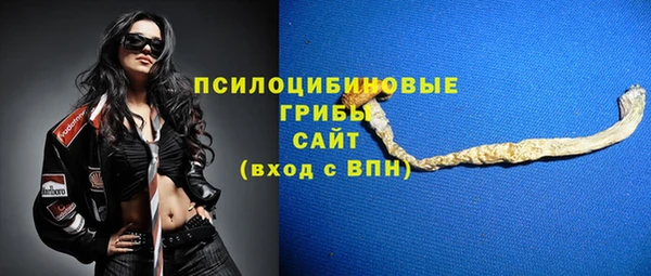 твердый Осташков