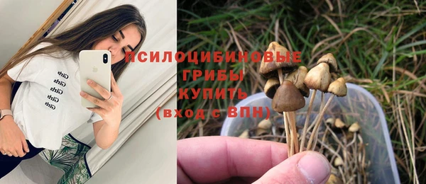мдма Михайлов
