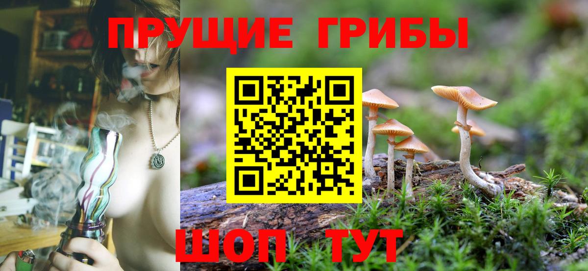 Псилоцибиновые грибы MAGIC MUSHROOMS Луга