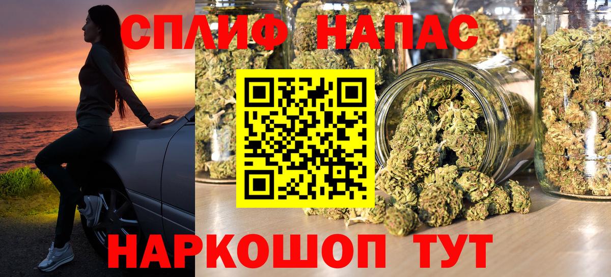 Каннабис MAZAR Луга